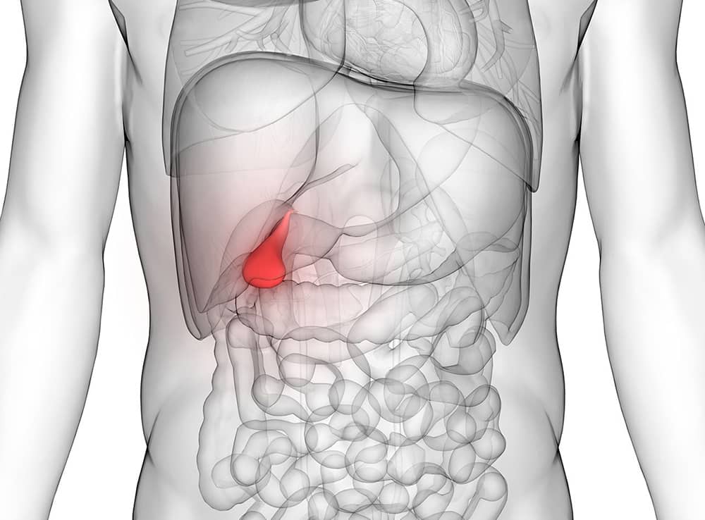 Chirurgie de la vésicule biliaire à Paris 17 avec le Dr Servajean